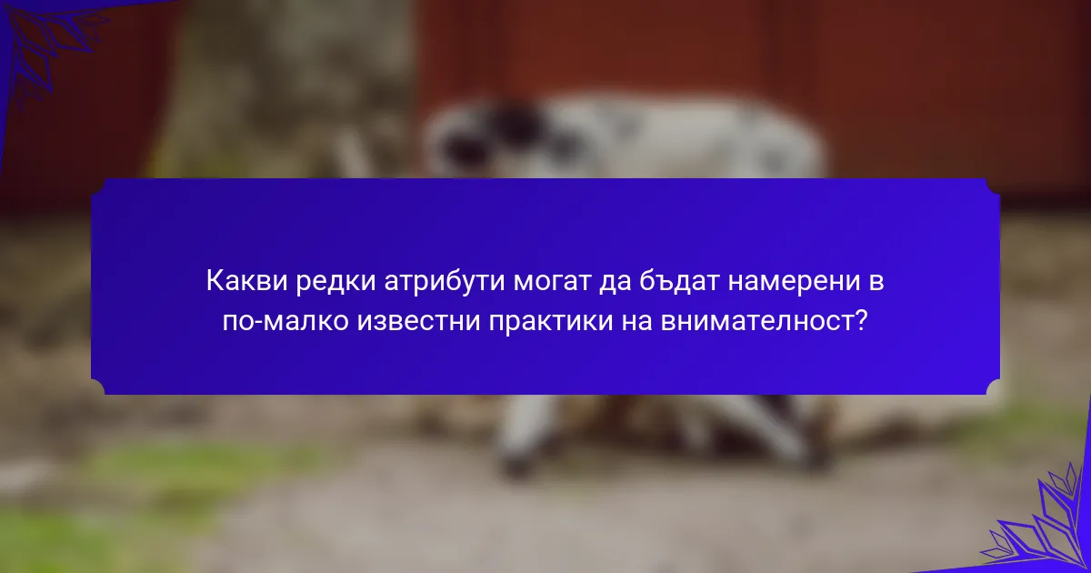 Какви редки атрибути могат да бъдат намерени в по-малко известни практики на внимателност?