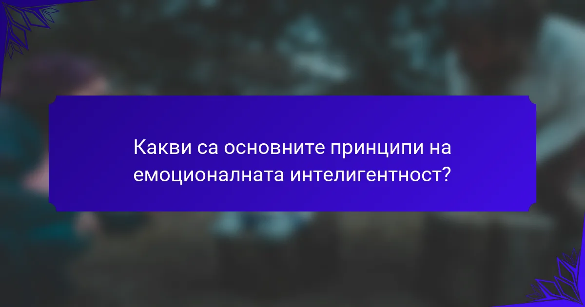 Какви са основните принципи на емоционалната интелигентност?