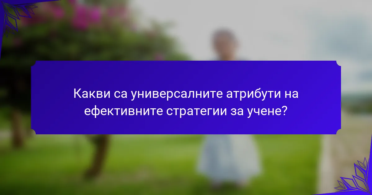Какви са универсалните атрибути на ефективните стратегии за учене?