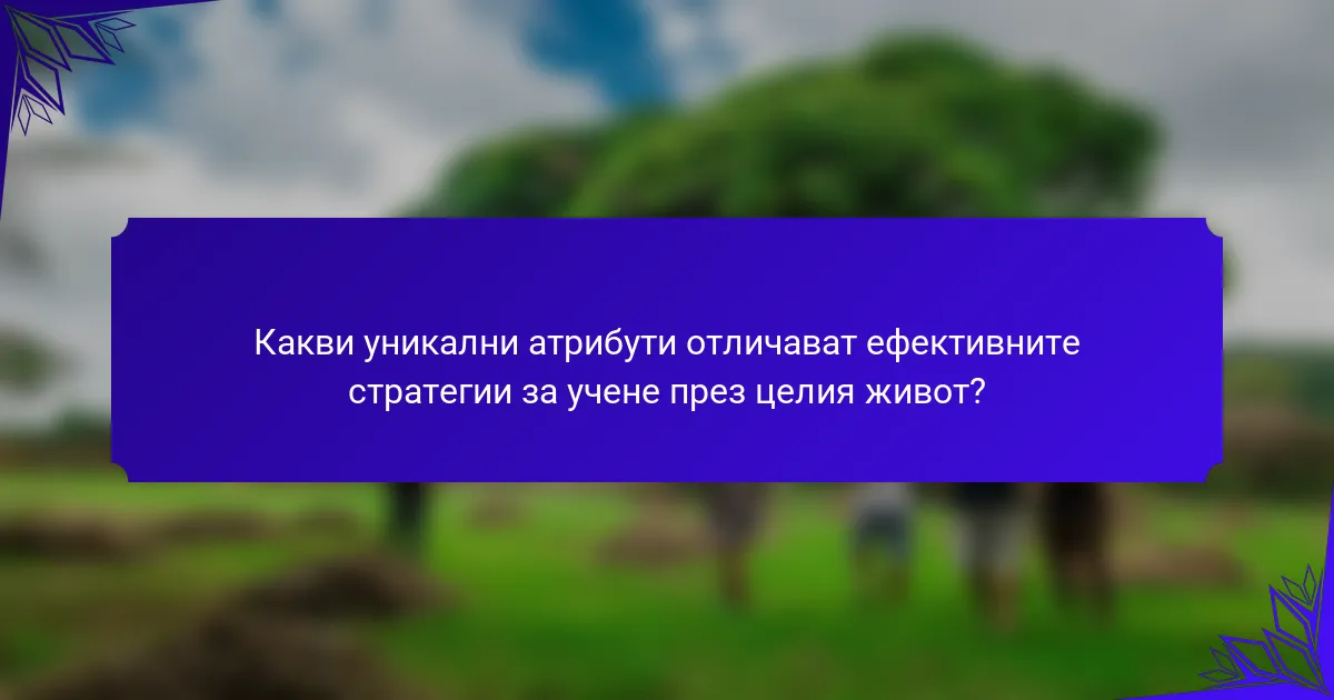 Какви уникални атрибути отличават ефективните стратегии за учене през целия живот?
