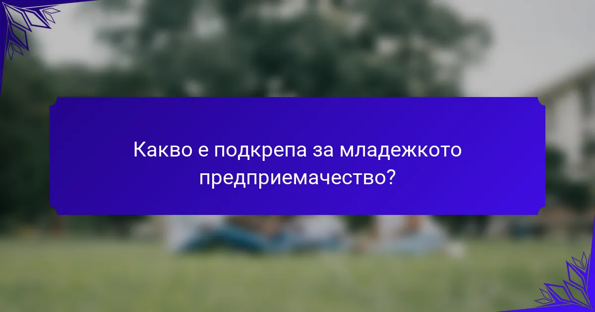 Какво е подкрепа за младежкото предприемачество?